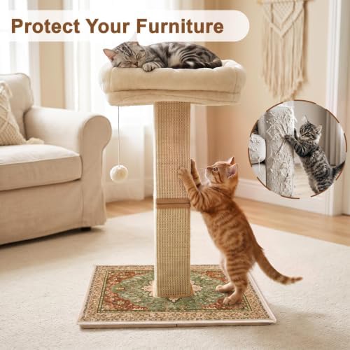 Cat Scratching Post with Bed for Indoor Adult Cats, Cat Perch,Green - Image 5