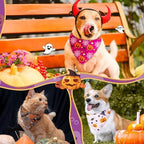 Preboun 50 Pcs Halloween Dog Bandanas Bulk, Pumpkin Ghost Bat Spider Web - Image 4