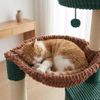 YUNIQUE Cat Tree with Cat Condo and Big Hammock, Dark Green - Image 4