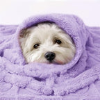 Luciphia Soft Small Dog Blanket 300GSM Fleece Throw Puppy Cat,41"x31" - Image 6
