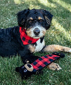 Lazy One Bear Squeaky Dog Toy, Soft Crinkle Toy for Dogs, Durable Fabric - Image 3