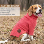 cyeollo Dog Sweaters for Small Dogs, Warm Knit Pullover with Long Sleeve - Image 4