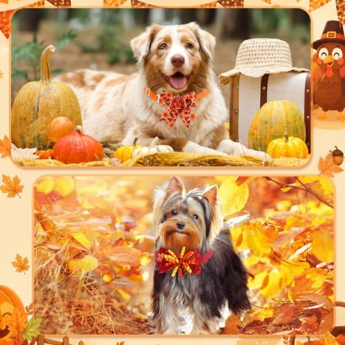 Huhumy 50 Pcs Halloween Dog Bow Ties Thanksgiving Dog Collars Bulk - Image 3