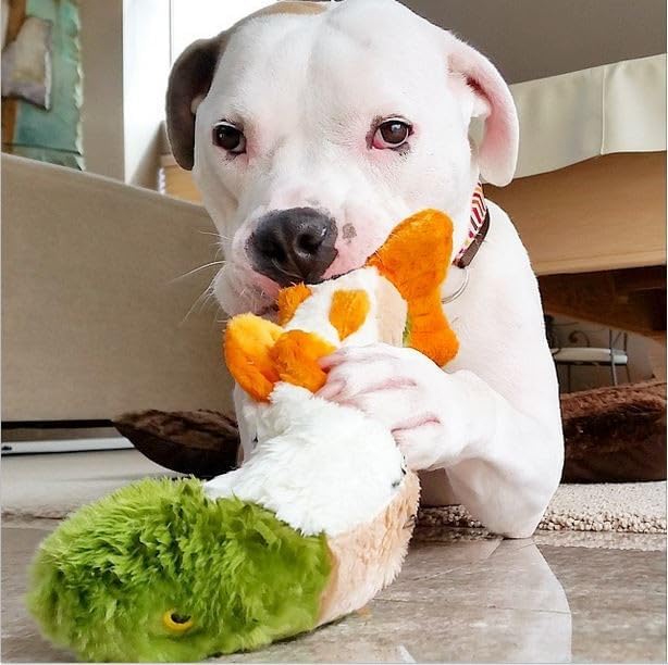 Fluff & Tuff Ruby the Rainbow Trout Plush Dog Toy – 2 Pack, 14” Durable Stuffed Fish Dog Toy with Squeaker, Double-Stitched & Reinforced for Interactive Play