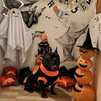 Halloween Dog Sweater Costumes for Small Medium Dogs Adorable Festival Pattern Pumpkin Sweater Turtleneck Knitted Pet Puppy Clothes Soft Warm Cold Weather Dog Halloween Costume Party Outfit - Image 4