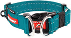 EzyDog Double Up Dog Collar, Strong Double D-Rings - Medium, Teal | Dual D-Rings for Superior Strength, Safety, and Comfort, Soft Touch Nylon Webbing, Reflective Stitching, Id Attachement Point