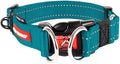 EzyDog Double Up Dog Collar, Strong Double D-Rings - X-Large, Teal | Dual D-Rings for Superior Strength, Safety, and Comfort, Soft Touch Nylon Webbing, Reflective Stitching, Id Attachement Point