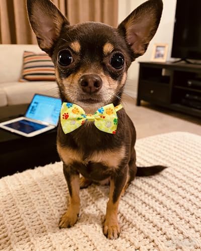 PET SHOW 30 Pack Paw Print Dog Bowties Bulk for Small Dogs Cats - Image 5