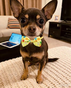 PET SHOW 30 Pack Paw Print Dog Bowties Bulk for Small Dogs Cats - Image 5