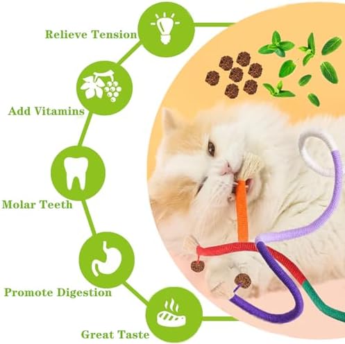 Cat Toys 21PCS Mix Catnip Chew Rope Silvervine Stick for Indoor Cat - Image 4