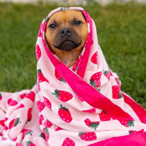 Darren & Phillip Cutie Frutti Strawberry Blanket - Ultra-Soft Blankets Made with Plush Fleece - Perfect as a Dog Bed Blanket or for Cuddling with Your Pup - Ultra-Snuggly Blankets for Dogs & Humans - Image 5