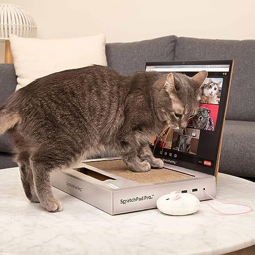 ScratchPad Pro — Cardboard Laptop Cat Scratcher by Relatable - Image 6