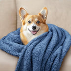 Luciphia 1 Pack 3 Calming Dog Blanket Fluffy Premium Fleece Pet Blankets Soft Sherpa Throw for Dogs Puppy Cat Haze Blue Large (41" x31") - Image 6