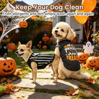 BINGPET 2PCS Dog Halloween Costume, Soft Cotton Puppy Shirt, Trick or Treat - Image 7