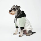 Spark Paws Dog Hoodie – Premium Dog Sweater for Small, Medium, and Large Dogs | Warm Outfits for French Bulldogs, Pitbull, Puppy, Winter Jacket Alternative - Olive Cream - M