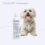 TrizCLHOR 4 Shampoo, 8 Ounce | Antibiofilm; Packaging May Vary