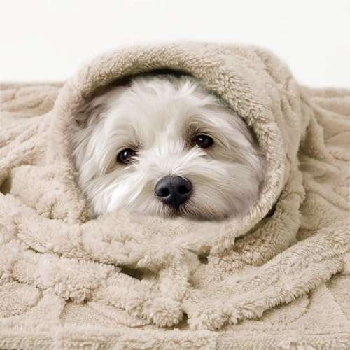 Luciphia 2 Pack Small Dog Blanket, Cozy Fleece Throw for Puppy Cat,41"x31" - Image 6