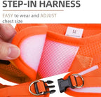 PUPTECK Dog Harness, Collar and Leash Set No Pull for Small Medium Sized - Image 3