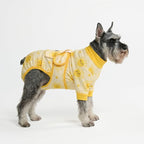 Spark Paws Dog Surgery Recovery Suit – Dog Recovery Suit After Surgery, Anti-Lick Dog Onesie, Abdominal Wound Protector, Soft Cone Alternative for Spay Neuter Male Female Pet Recovery - Sunshine - M