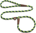 Mendota Pet Slip Leash - Dog Lead and Collar Combo - Made in The USA - Jade, 3/8 in x 4 ft - for Small/Medium Breeds