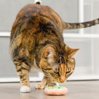 Huxley & Kent Plush Cat Toy - Holiday Interactive Catnip Toy for Cats & Kittens - Soft with Crinkle & Catnip - Fun Indoor Play - Lit Donut & Peppermint Candy 2pk - Image 4