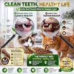 15pcs Freeze Dried Cat Chew Sticks Kitten Beef Treats for Teeth - Image 4