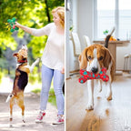 SCENEREAL Christmas Dog Toy Pack 4, Durable Cute Interactive Dog Stuffed Plush Squeaky Toys with Squeaker, Pet Chew Toys for Small Medium Dogs Puppies Bone Shape - Image 6