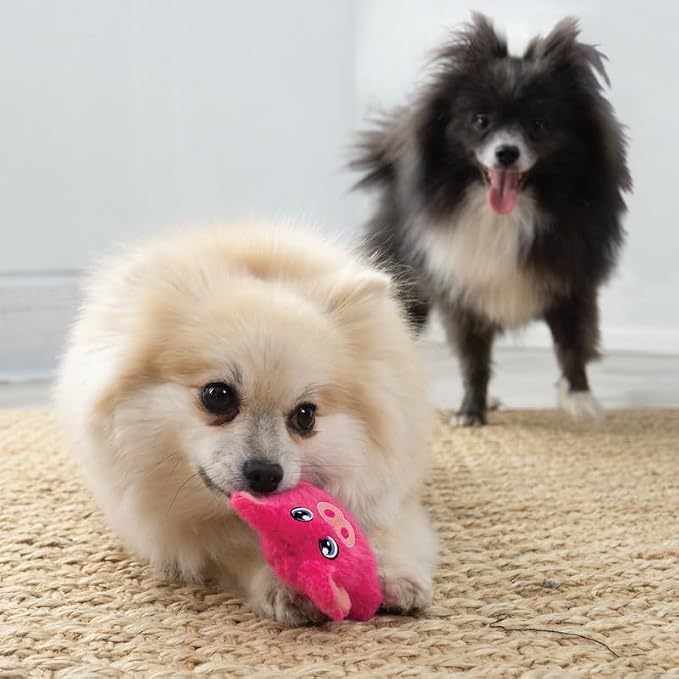 KONG Snuzzles Kiddos Mini Extra Small Dog Toy - Soft Plush Squeaky Toy for Small Dogs & Puppies (Duck/Pig Combo)