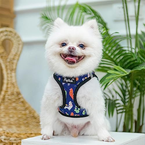 PUPTECK Dog Harness, Collar and Leash Set No Pull for Small Medium Sized - Image 5