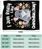Chinchilla Blanket for Girls Women Boys Men Adults Kids Soft Cozy Fleece Chinchilla Throw Blankets Gifts Warm Flannel Plush Lightweight Decor for Couch Bed Sofa 60"X50" - Image 7