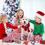 Hiboom 9 Pack Mini Christmas Dog Toys Squeaky Plush, Small Dogs Puppies - Image 5