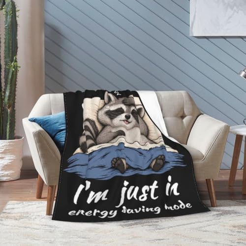 Sleepy Raccoon Blanket Throw Gift for Girls Women 50"X40" - Image 2