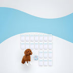 20 Pcs White Disposable Dog Boots for Paw Protection, 20 Pcs Disposable Dog Shoes with Adjustable with Adhesive Tape for Small Medium Large Dogs, Dog Socks to Prevent Paw Licking(S (5-16lb))