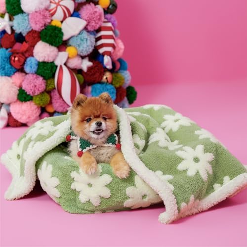 LE SURE Waterproof Dog Blankets for Small Dogs Cute Cozy 3D Jacquard,25x35 - Image 2