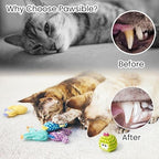 Pawsible 5 Pack Cactus Catnip Toys, 100% Organic Catnip Toys for Indoor Cats, Interactive Plush Chew Fun Without Cotton, Teething Soft Kittens Toys for Kitty, Colorful - Image 6