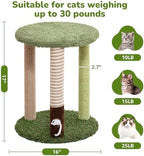 Woochpet Small Cat Tower with Cat Scratching Post,Short Cat Tree for Kitten - Image 3