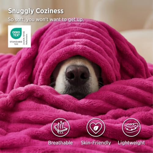 Bedsure Soft Twin Blanket for Bed Decor Gifts Hot Pink 60"x80" - Image 3