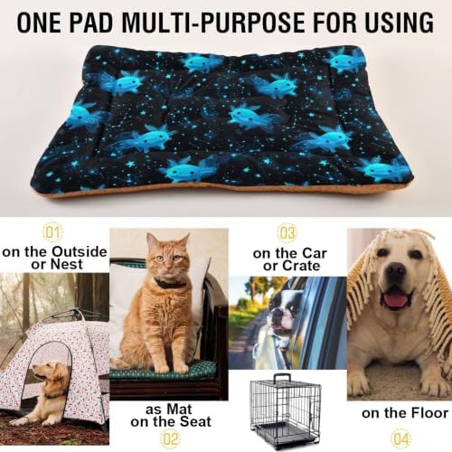 Cartoon Galaxy Axolotl Dog Bed Mat 18"x24" - Image 5