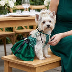 Princess Dog Dresses for Small Dogs Girl Sequin Dog Birthday Dress - Image 6