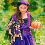Preboun 50 Pcs Halloween Dog Bandanas Bulk, Pumpkin Ghost Bat Spider Web - Image 6