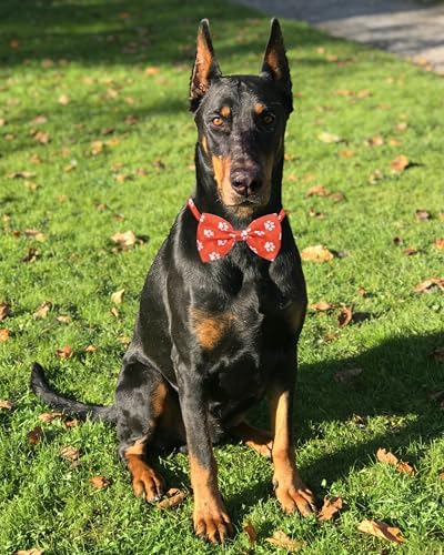 PET SHOW 30 Pack Paw Print Dog Bowties Bulk for Large Dogs - Image 6