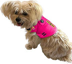 CozyVest 3-in-1 Anxiety Vest Music & Aromatherapy Dog Coat Relaxing Sound & Essential Oil Scent Canine Stress Relief Fireworks Thunder Separation Shirt Jacket Thunderstorm(Pink, XS [8-14 Lbs])