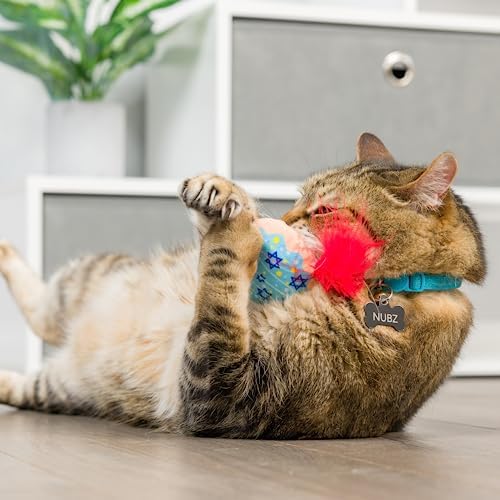 Huxley & Kent Plush Cat Toy - Hanukkah Interactive Catnip Toy for Cats & Kittens - Soft with Crinkle & Catnip - Fun Indoor Play - Jelly Roll & Meowchewitz 2pk - Image 7