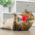 Huxley & Kent Plush Cat Toy - Hanukkah Interactive Catnip Toy for Cats & Kittens - Soft with Crinkle & Catnip - Fun Indoor Play - Jelly Roll & Meowchewitz 2pk - Image 7