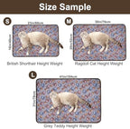 Dono 1 Pack 3 Dog Blankets for Small Dogs, Soft Fluffy Paw Print Pattern Fleece Pet Blanket Warm Sleep Mat, Puppy Kitten Blanket Doggy Mat for Dog Cat Kitten Doggy (40 * 30") - Image 2