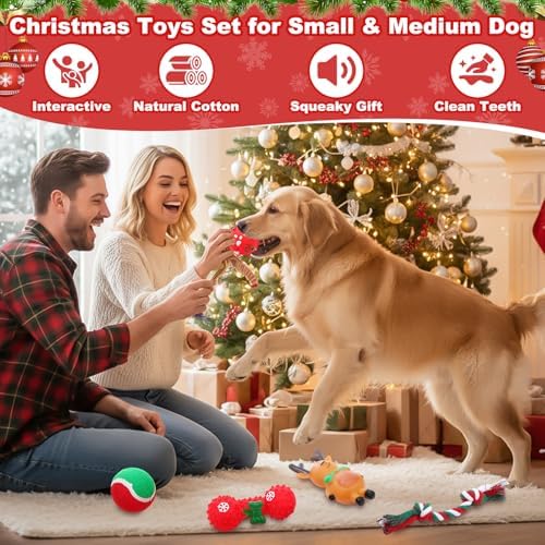 Soulchen 11 Pcs Christmas Dog Toys Stocking Gift Interactive Toy - Image 4
