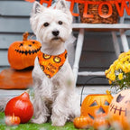 Preboun 50 Pcs Halloween Dog Bandanas Bulk, Pumpkin Ghost Bat Spider Web - Image 2