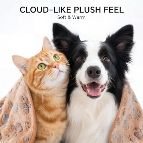 1 Pack 6 Blankets Dog Cat Soft Fluffy Fleece Pet Blanket Warm Cute Print Design Puppy Kitten Blanket Doggy PAW-2 Small (23" x16") - Image 2
