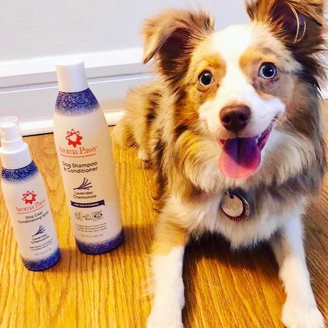 Anti-Itch & Calming Formula 2-in-1 Dog Shampoo & Conditioner - Lavender Chamomile, Tearless, Aroma Paws Sensitive Skin & Itch Relief, Sulfate & Paraben Free, Made in USA 13.5 oz