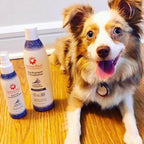 Anti-Itch & Calming Formula 2-in-1 Dog Shampoo & Conditioner - Lavender Chamomile, Tearless, Aroma Paws Sensitive Skin & Itch Relief, Sulfate & Paraben Free, Made in USA 13.5 oz